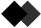 PRIMVISION